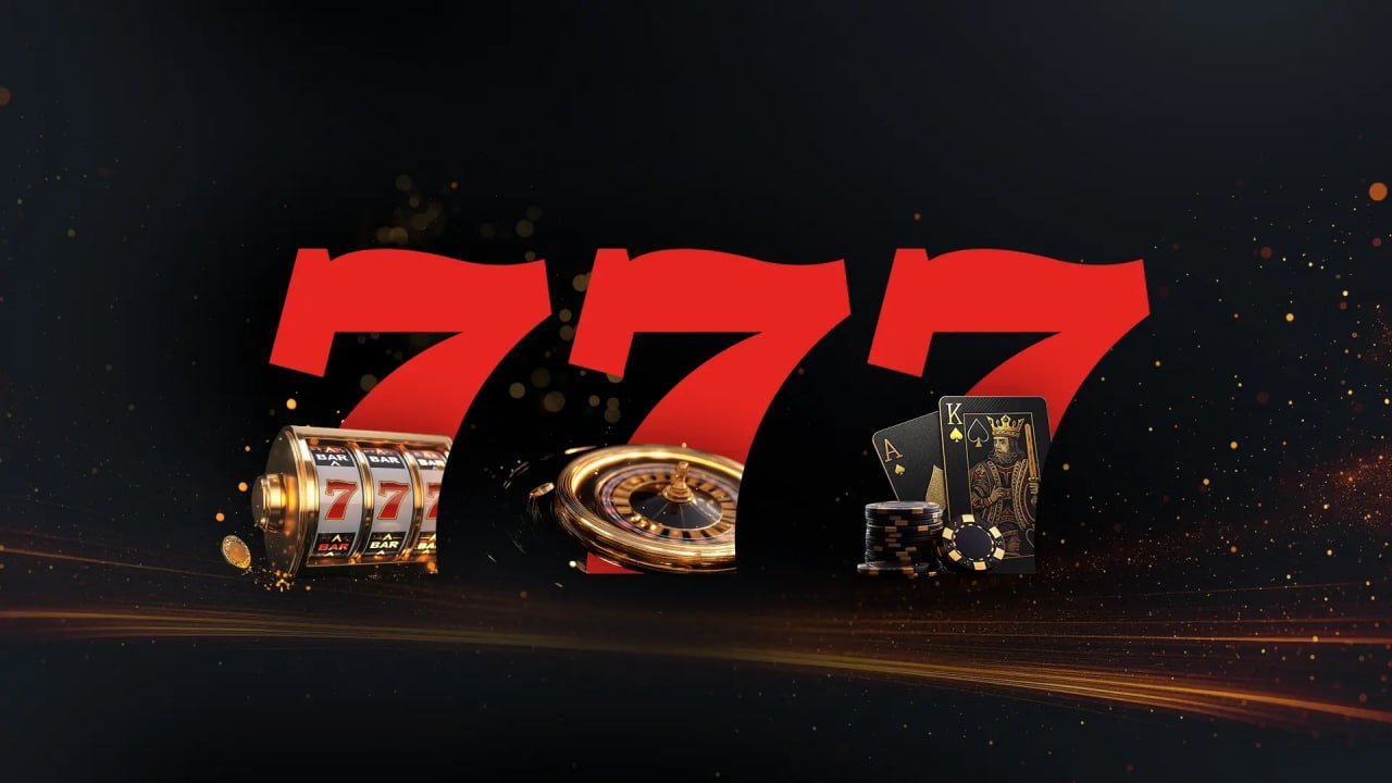 8777 dbt